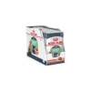 Royal Canin Fhn Digestive Sensitive 85G