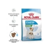 Royal Canin Mini Starter M&B 4K