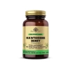 Solgar Hawthorne Berry 100 Kapsül