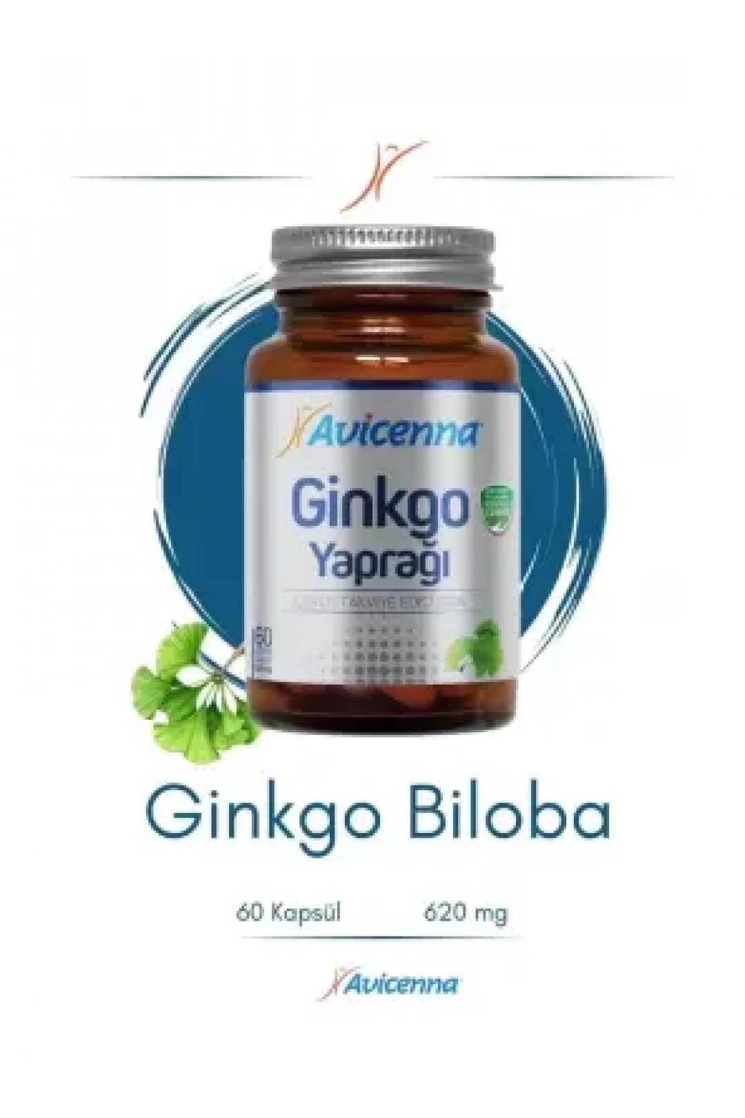 Avicenna Ginkgo Yaprağı 60 Kapsül