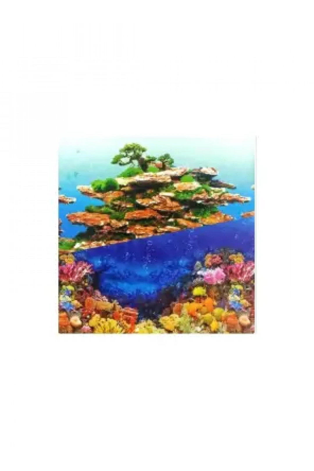 Çift Taraflı Poster 30Cm