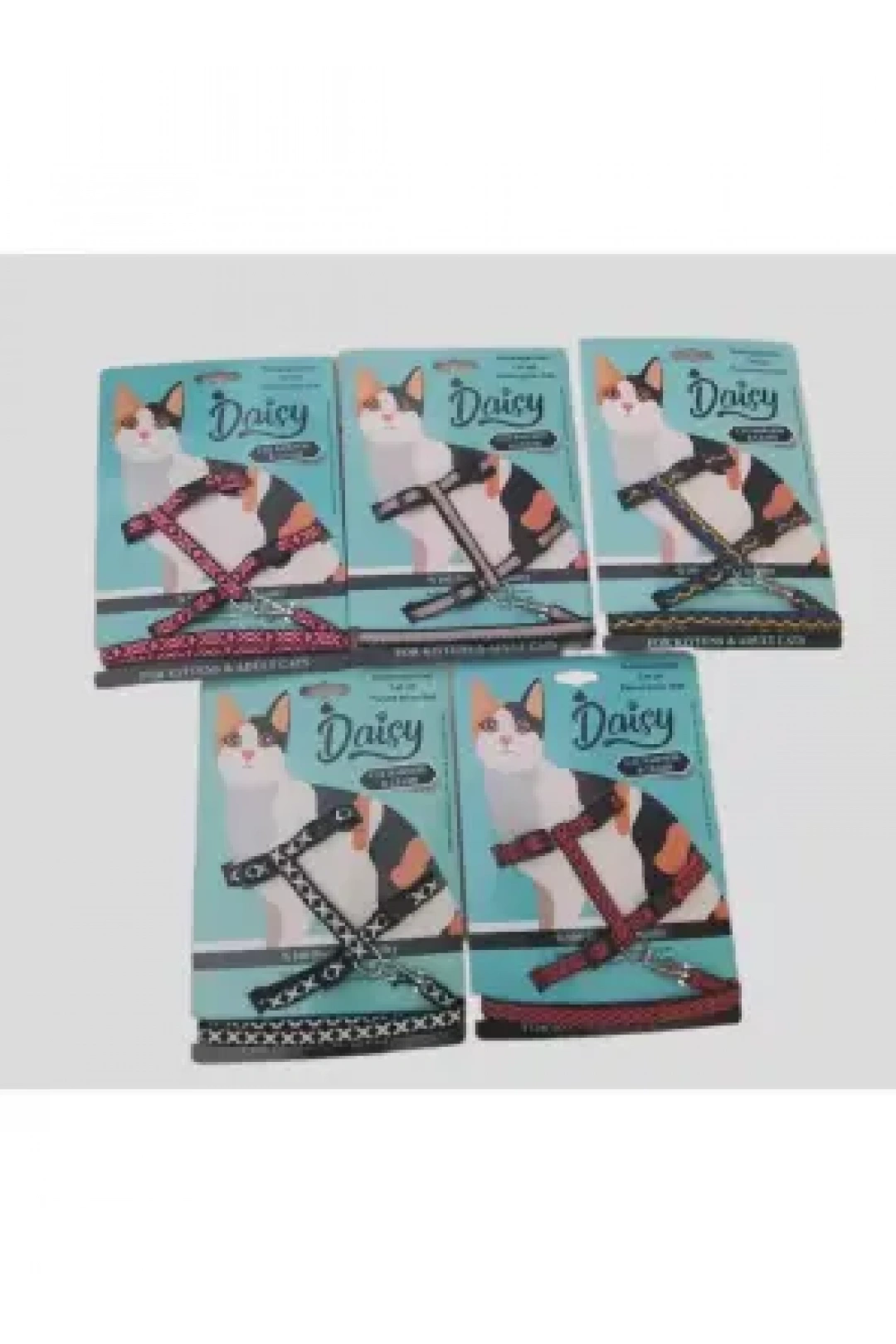 Daisy Kedi Takım Bel Tasması