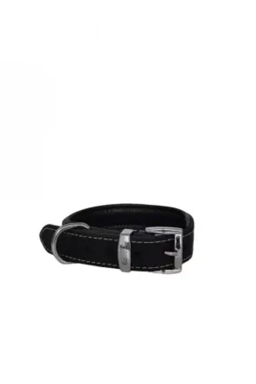 Daisy Yağlı Deri Köpek Tasması S-2,5cm Siyah