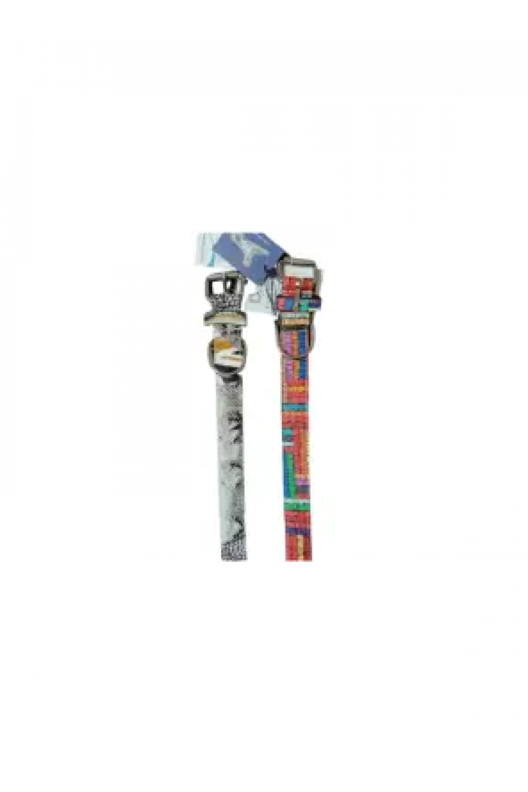 Desenli Köpek Boyun Tasması 3 Cm