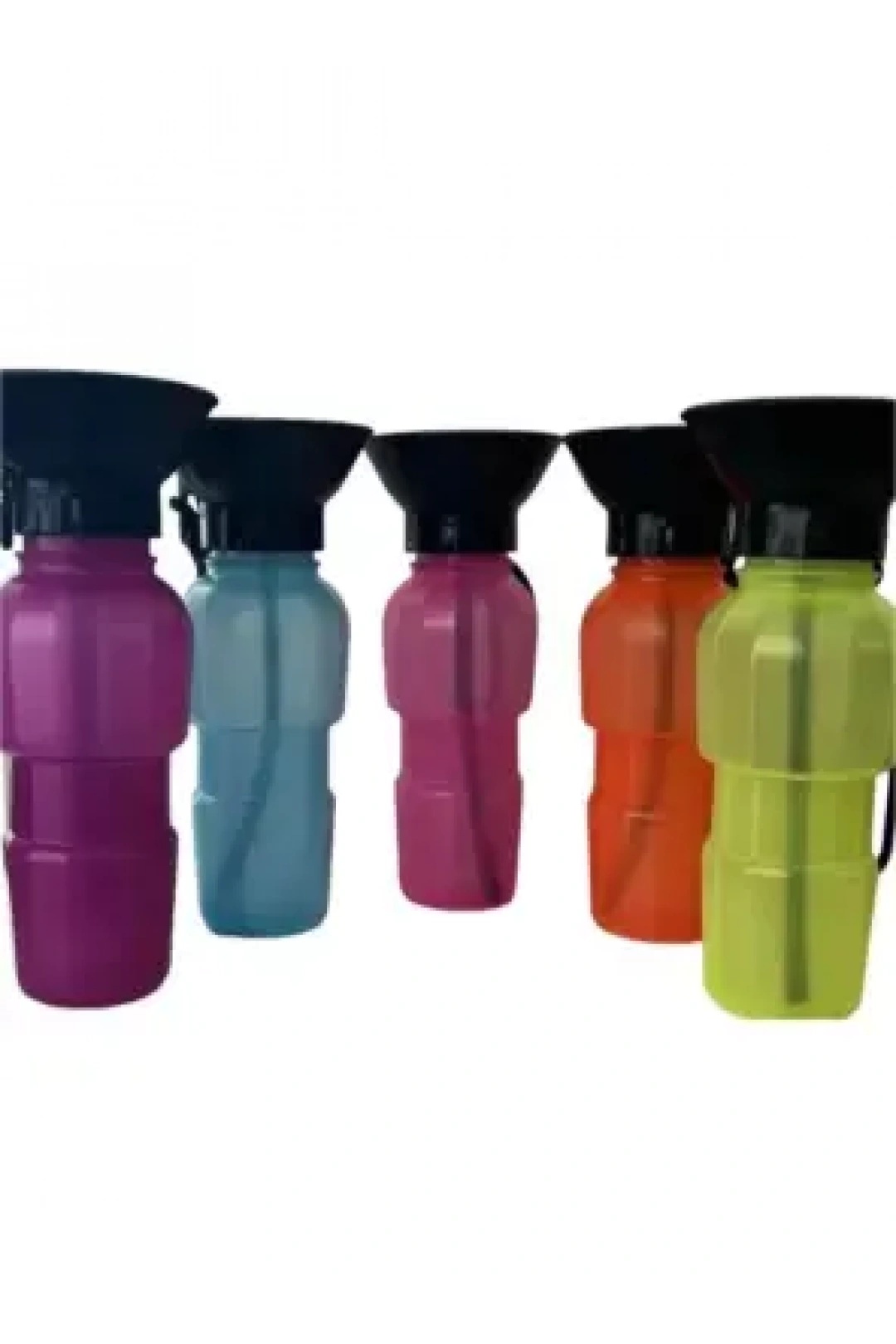 Evcil Hayvan Seyahat Suluğu