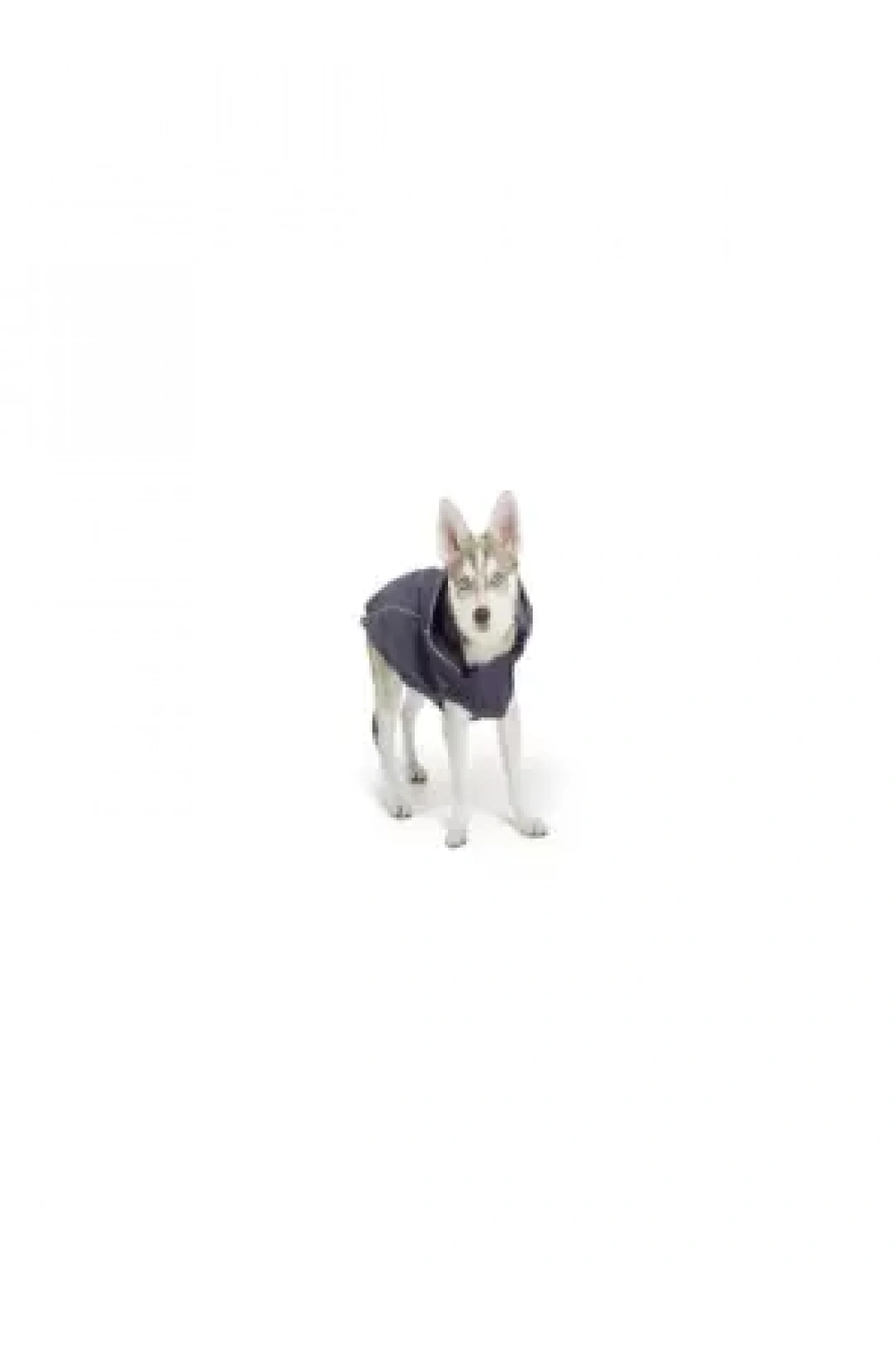 Gf Pet Köpek Kedi Kıyafet Reversible Raincoa Small