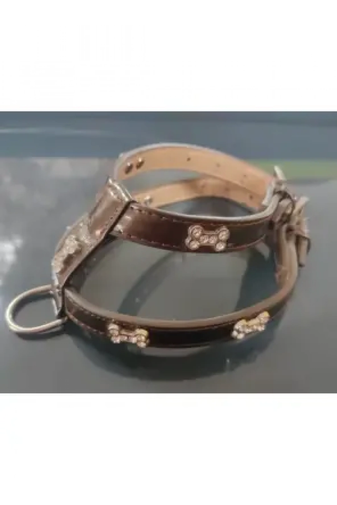 Pet Style Bel Tasması 1.5X35Cm