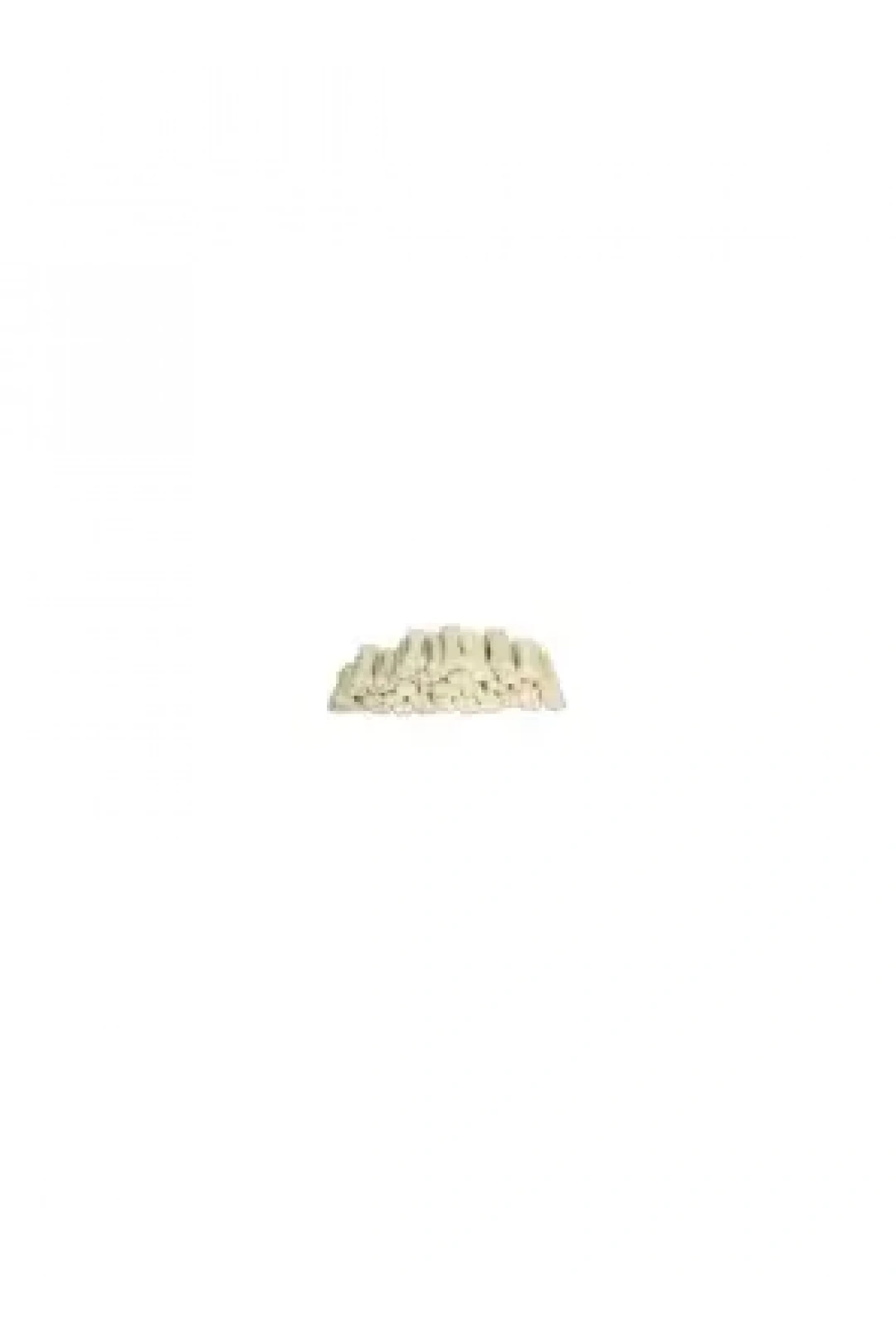 Petimore 7 Cm Beyaz Pres Kemik