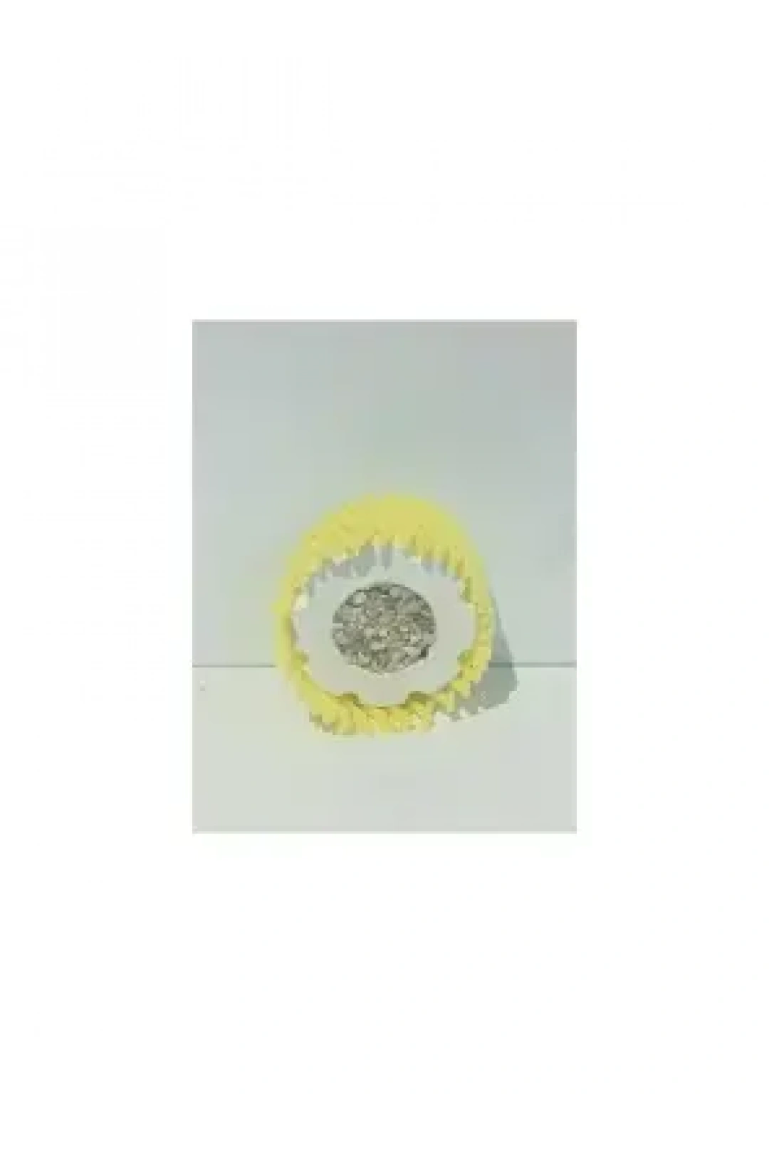 Selinus Dolgulu Gaga Taşı