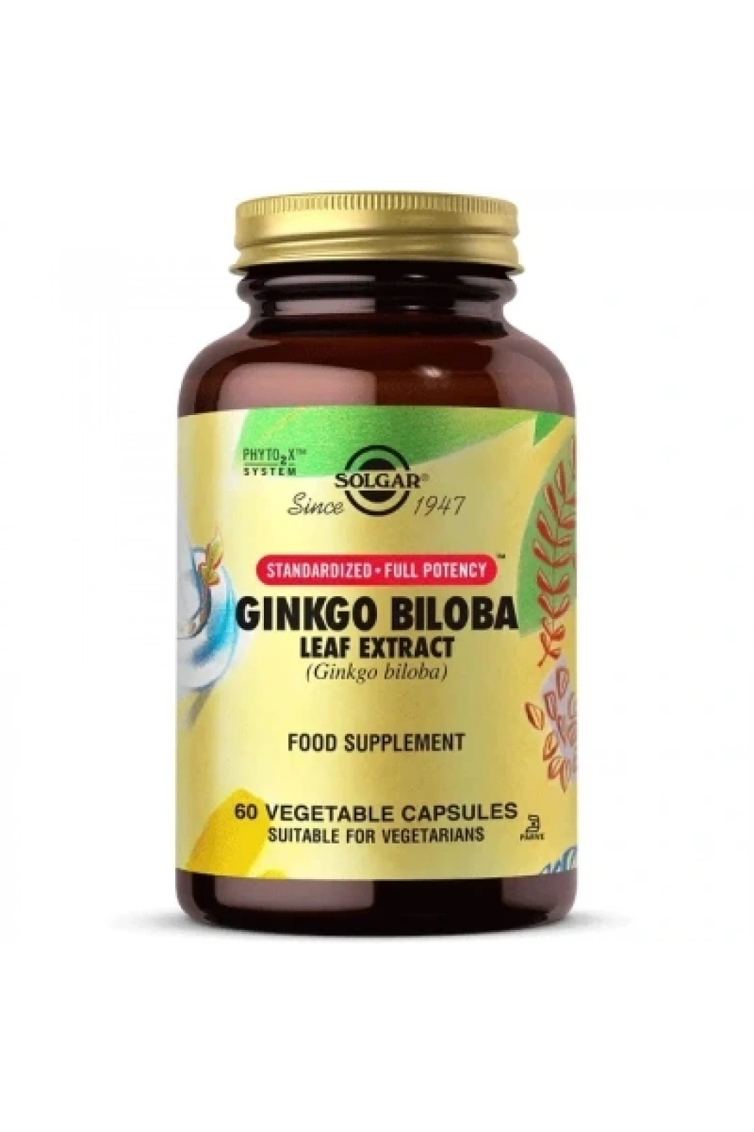 Solgar Ginkgo Biloba Leaf Extract 60 Kapsül