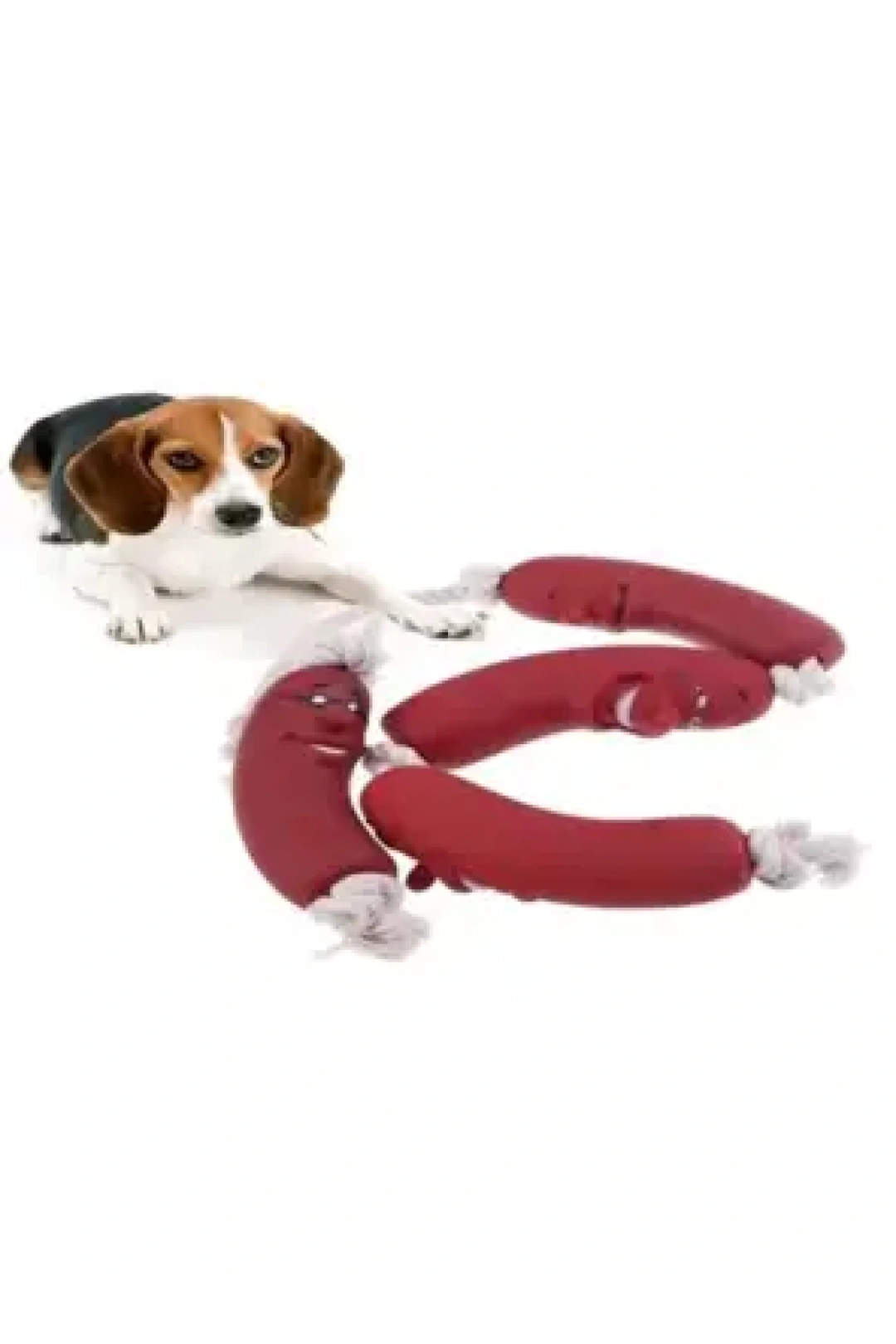 Sosis Oyuncak 4lü DG-1336