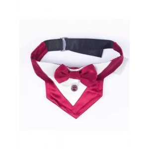 Paw Star Köpek Smokin Papyon