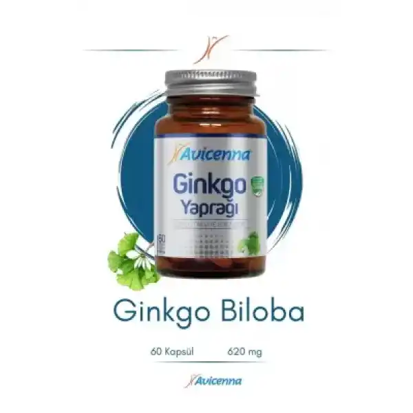 Avicenna Ginkgo Yaprağı 60 Kapsül