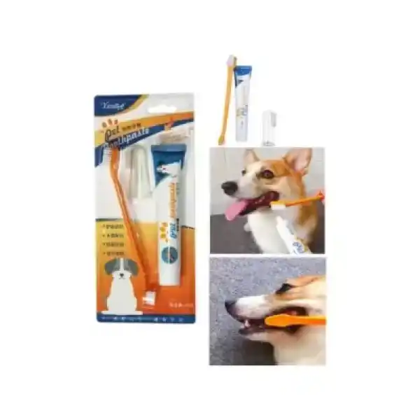Evcil Hayvan 3 Fırçalı Diş Macun Seti