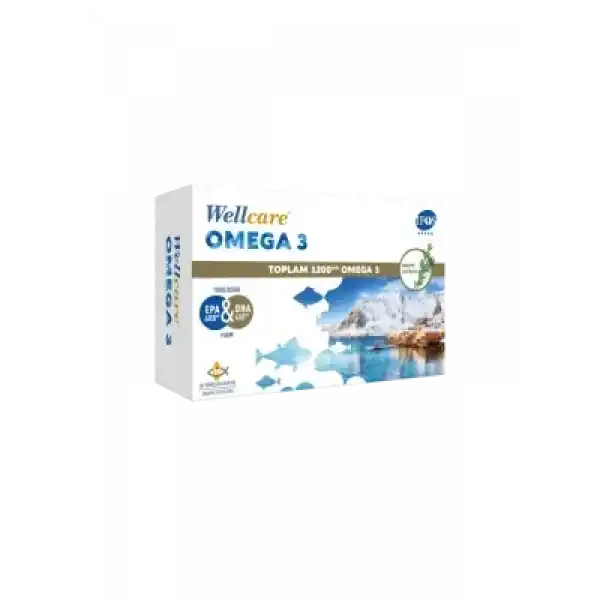 OUTLET-Wellcare Omega 3 1200mg Balık Yağı 30 Kapsül