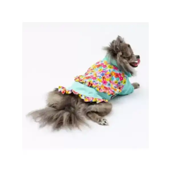 Paw Star 24512 Mint Victoria Yağmurluk