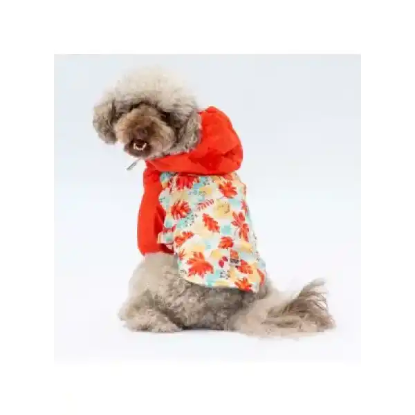 Paw Star 24520 Ottawa Yağmurluk