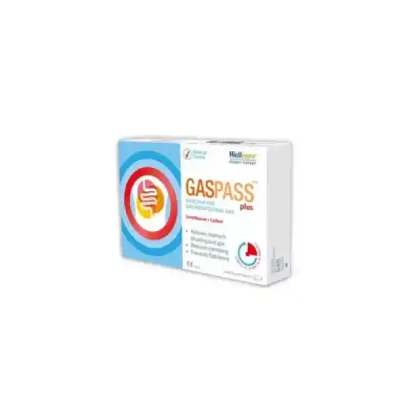 Wellcare Gaspass Plus 20 Tablet