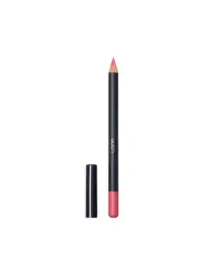 Aden Lipliner Pencil - 41 Rosie Brown -