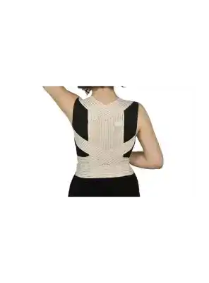 Bluewell Balenli Posturex Bandajı BEDENSİZ -BD422-