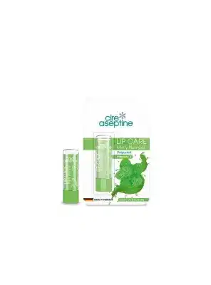 Cire Aseptine Nane Aromalı Dudak Bakım Kremi 4,5 gr