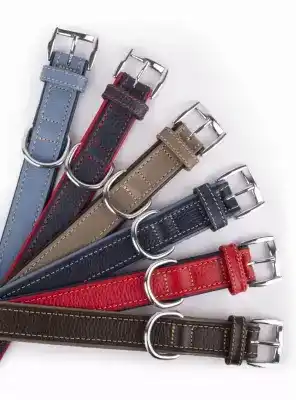 Daisy Flotter Deri Köpek Tasması L-3cm Turkuaz-Laci