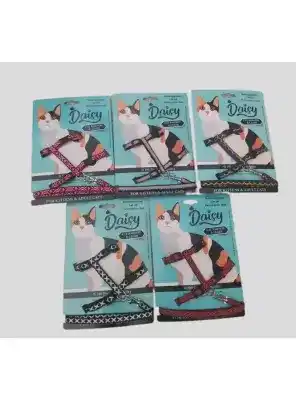 Daisy Kedi Takım Bel Tasması
