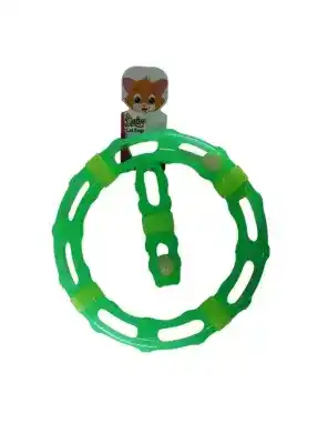 Daisy Kedi Tüneli 4 lü