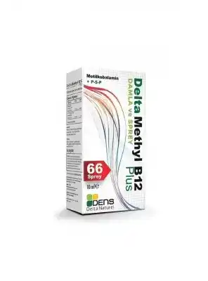 Delta Methly B12 Plus Sprey 10 ml