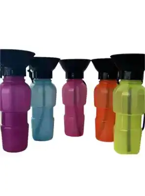 Evcil Hayvan Seyahat Suluğu