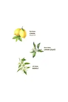 Eyüp Sabri Tuncer Klasik Limon Kolonyası 50 ml - Pet Şişe