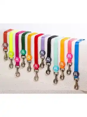 Full Düz Renk Sevk Kayışı