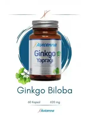 OUTLET - Avicenna Ginkgo Yaprağı 60 Kapsül