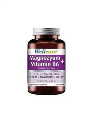 Outlet - Wellcare Magnezyum B6 Vitamini 30 Tablet