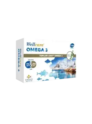 OUTLET-Wellcare Omega 3 1200mg Balık Yağı 30 Kapsül