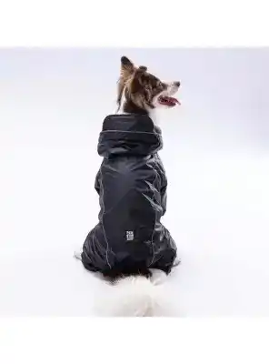 Paw Star 24503 Siyah Muson Tulum