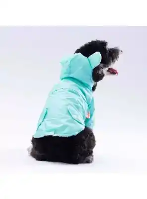 Paw Star 24504 Mint Sydney Yağmurluk