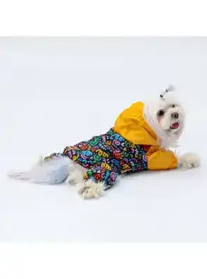 Paw Star 24508 Ferrara Tulum Yağmurluk