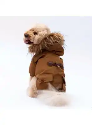 Paw Star 24515 Camel Charles Yağmurluk