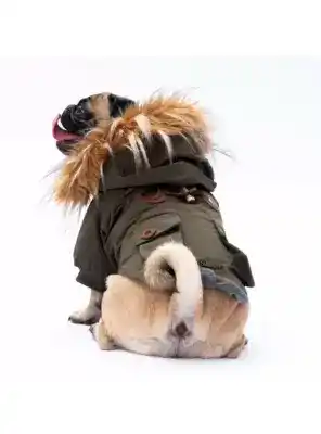 Paw Star 24516 Haki Charles Yağmurluk