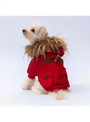 Paw Star 24517 Kırmızı Charles Yağmurluk