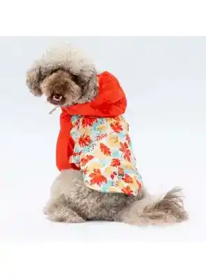 Paw Star 24520 Ottawa Yağmurluk