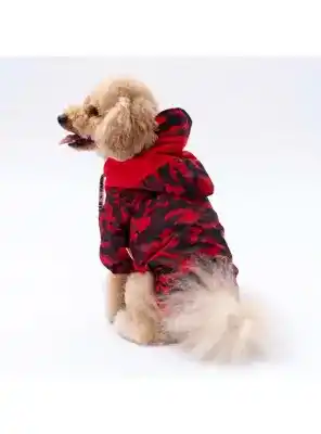 Paw Star 24524 Kırmızı Dijon Yağmurluk