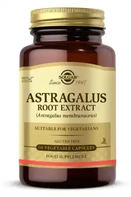 Solgar Astragalus Root Extract 60 Kapsül