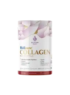 Wellcare Collagen Multi Boost Plus Toz Form - Nar Aromalı - 345gr