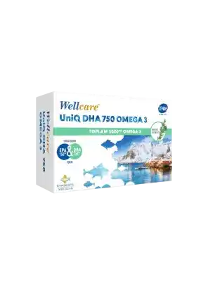 Wellcare UniQ DHA 750 Omega 3 1000mg Balık Yağı 30 Kapsül