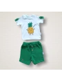 6-9 9-12 12-18 Ay Ananas Nakışlı Kısa Kollu Sweatli Şortlu 2li Kız-erkek Bebek Takımı