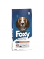 Foxy Balıklı Yetişkin Köpek Maması 15 Kg