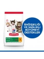 Hills Kitten Tavuklu Yavru Kedi Maması 3 Kg