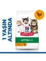 Hills Kitten Tavuklu Yavru Kedi Maması 5+2 Kg Hediyeli